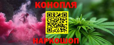 прущие грибы Нальчик