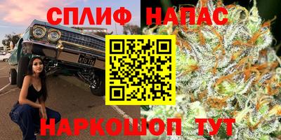 прущие грибы Нальчик