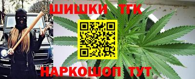 прущие грибы Нальчик