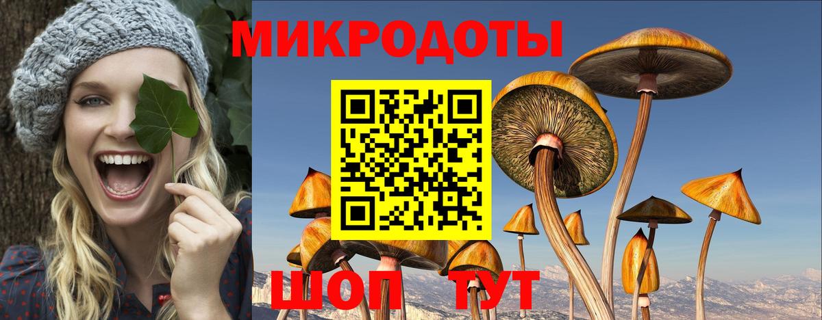 Галлюциногенные грибы мицелий  Вход с VPN  как найти закладки  Славянск-на-Кубани  Галлюциногенные грибы прущие грибы 
